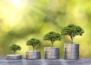 6 Financial Mistakes You Might Regret When You’re Older, start saving for retirement early. Screenshot from Canva photos